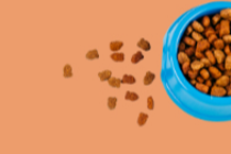 Pet Food